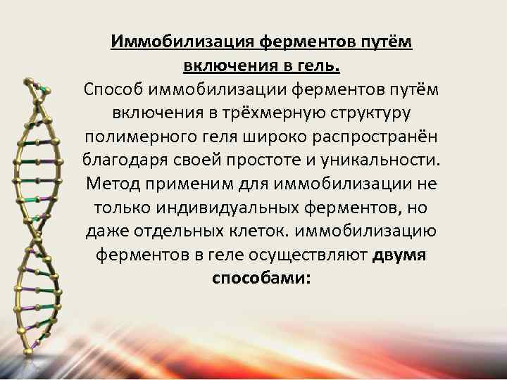 Иммобилизация ферментов путём включения в гель. Способ иммобилизации ферментов путём включения в трёхмерную структуру