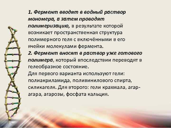 1. Фермент вводят в водный раствор мономера, а затем проводят полимеризацию, в результате которой