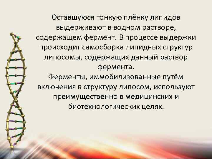 Оставшуюся тонкую плёнку липидов выдерживают в водном растворе, содержащем фермент. В процессе выдержки происходит