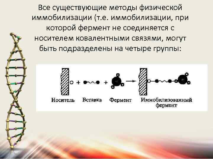 Все существующие методы физической иммобилизации (т. е. иммобилизации, при которой фермент не соединяется с