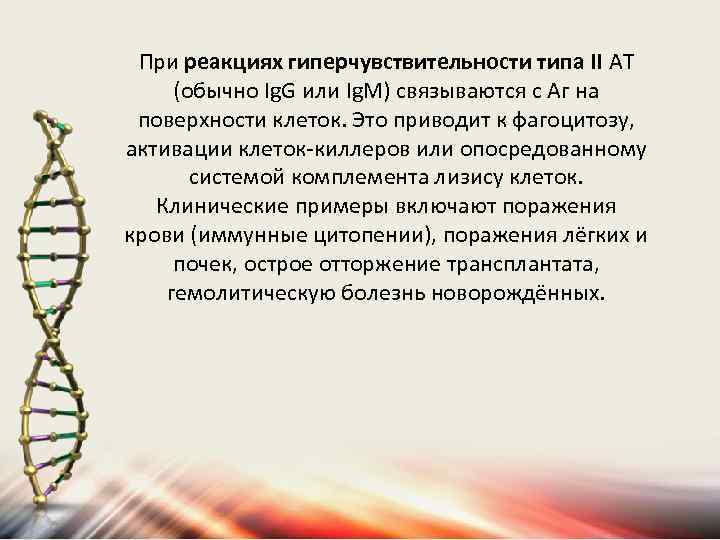 При реакциях гиперчувствительности типа II AT (обычно Ig. G или Ig. M) связываются с