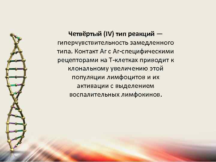 Четвёртый (IV) тип реакций — гиперчувствительность замедленного типа. Контакт Аг с Аг-специфическими рецепторами на