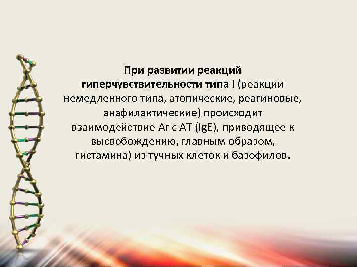 При развитии реакций гиперчувствительности типа I (реакции немедленного типа, атопические, реагиновые, анафилактические) происходит взаимодействие