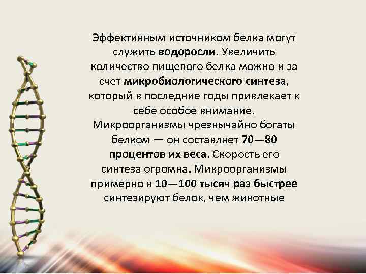 Эффективным источником белка могут служить водоросли. Увеличить количество пищевого белка можно и за счет