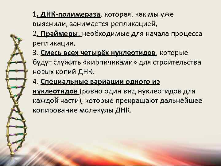 Днк полимеразой. Характеристика ДНК полимераз. Типы ДНК полимераз эукариот. ДНК полимераза катализирует.