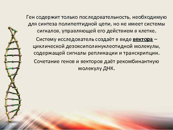 Ген содержит только последовательность, необходимую для синтеза полипептидной цепи, но не имеет системы сигналов,