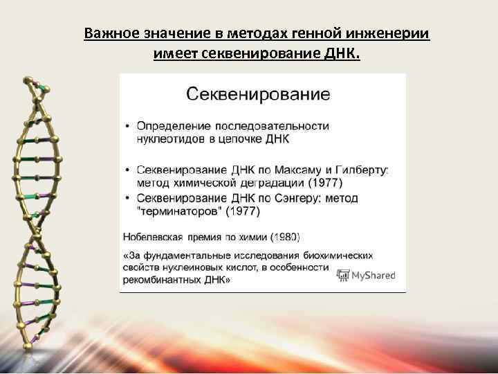 Важное значение в методах генной инженерии имеет секвенирование ДНК. 