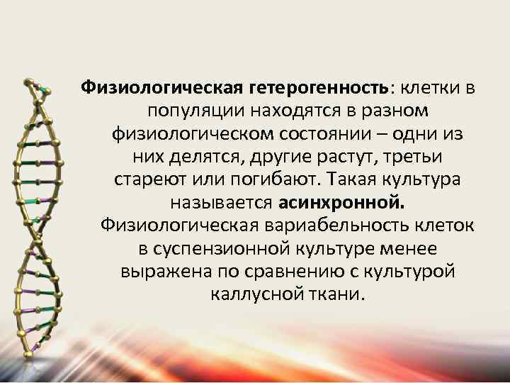 Физиологическая гетерогенность: клетки в популяции находятся в разном физиологическом состоянии – одни из них