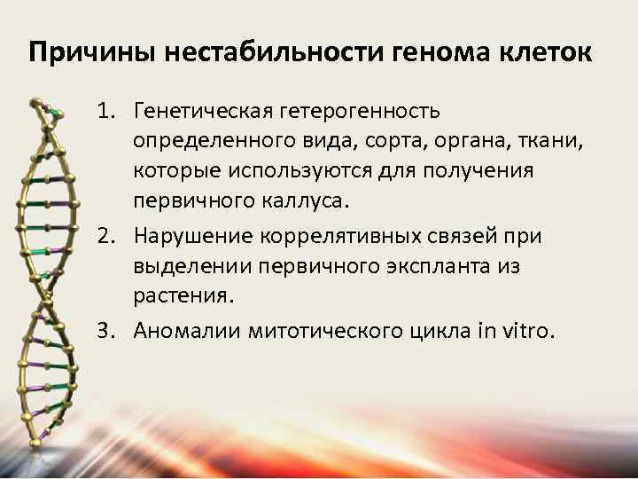 Причины нестабильности генома клеток 1. Генетическая гетерогенность определенного вида, сорта, органа, ткани, которые используются