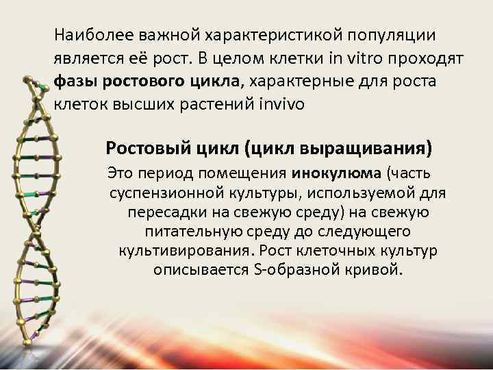 Наиболее важной характеристикой популяции является её рост. В целом клетки in vitro проходят фазы