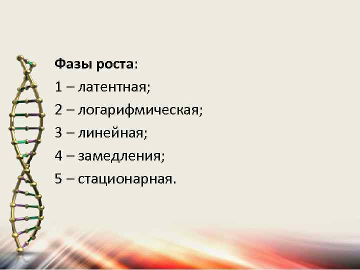 Фазы роста: 1 – латентная; 2 – логарифмическая; 3 – линейная; 4 – замедления;