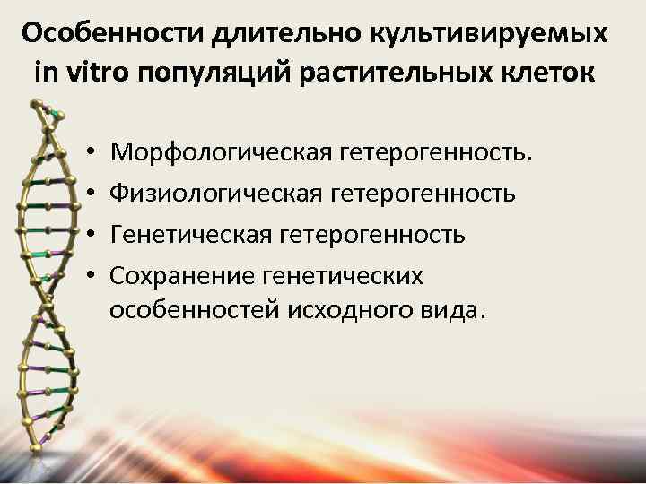 Особенности длительно культивируемых in vitro популяций растительных клеток • • Морфологическая гетерогенность. Физиологическая гетерогенность