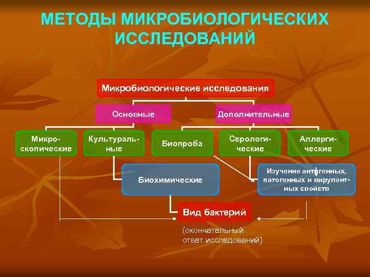 МЕТОДЫ МИКРОБИОЛОГИЧЕСКИХ ИССЛЕДОВАНИЙ Микробиологические исследования Основные Микроскопические Культуральные Дополнительные Биопроба Серологические Биохимические Вид бактерий