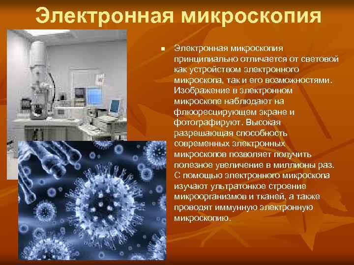 Световая микроскопия картинки