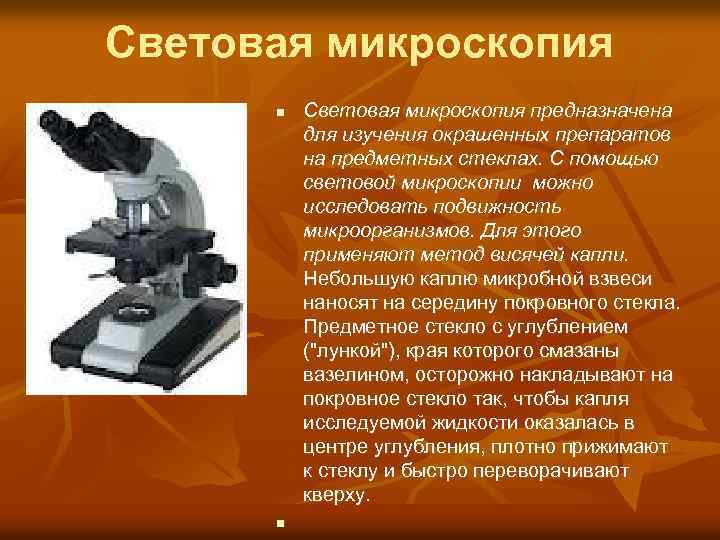Световая микроскопия n n Световая микроскопия предназначена для изучения окрашенных препаратов на предметных стеклах.