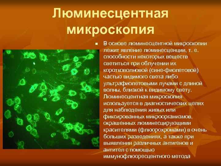 Люминесцентная микроскопия n В основе люминесцентной микроскопии лежит явление люминесценции, т. е. способности некоторых