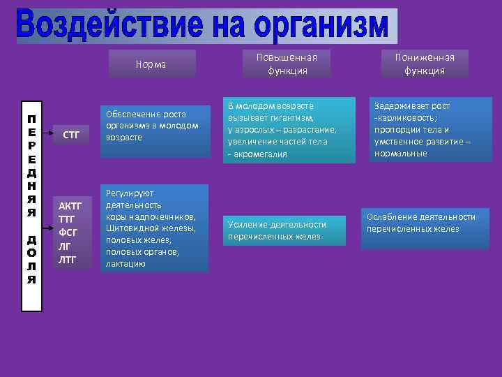 Норма П Е Р Е Д Н Я Я Д О Л Я Повышенная