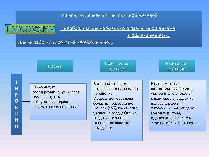 Гормон, выделяемый щитовидной железой – необходим для нормального развития организма и обмена веществ. Для