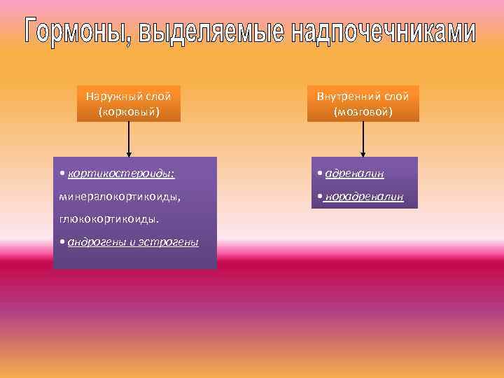 Наружный слой (корковый) Внутренний слой (мозговой) • кортикостероиды: • адреналин минералокортикоиды, • норадреналин глюкокортикоиды.