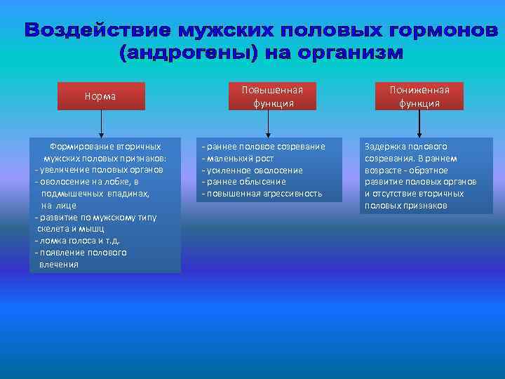 Норма Формирование вторичных мужских половых признаков: - увеличение половых органов - оволосение на лобке,