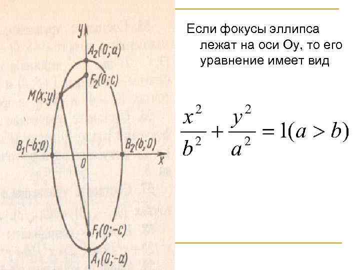 Уравнение оси оу имеет вид