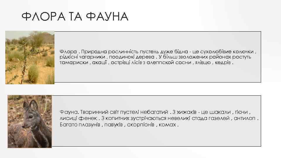 ФЛОРА ТА ФАУНА Флора. Природна рослинність пустель дуже бідна - це сухолюбівие колючки ,