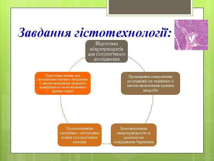 Завдання гістотехнології: Підготовка мікропрепаратів для гістологічного дослідження Підготовка тканин для патологоанатомічних досліджень із метою