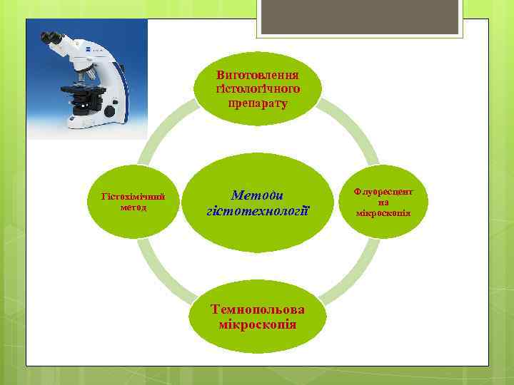  Виготовлення гістологічного препарату Гістохімічний метод Методи гістотехнології Темнопольова мікроскопія Флуоресцент на мікроскопія 