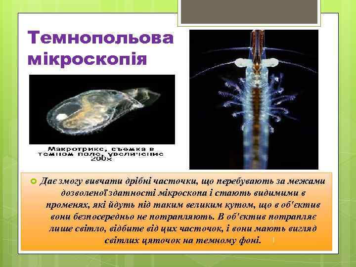 Темнопольова мікроскопія Дає змогу вивчати дрібні часточки, що перебувають за межами дозволеної здатності мікроскопа