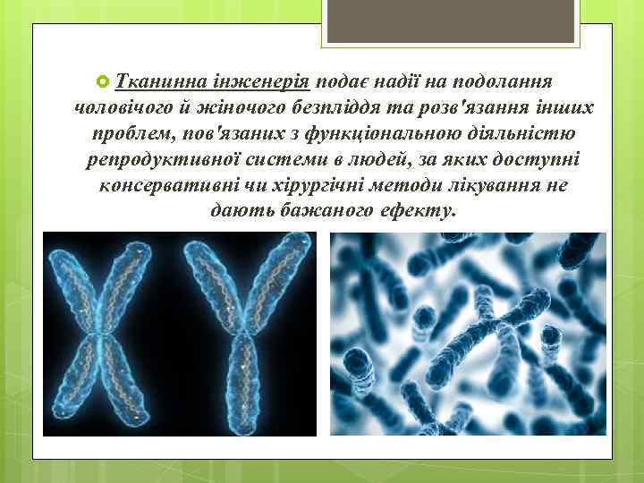  Тканинна інженерія подає надії на подолання чоловічого й жіночого безпліддя та розв'язання інших