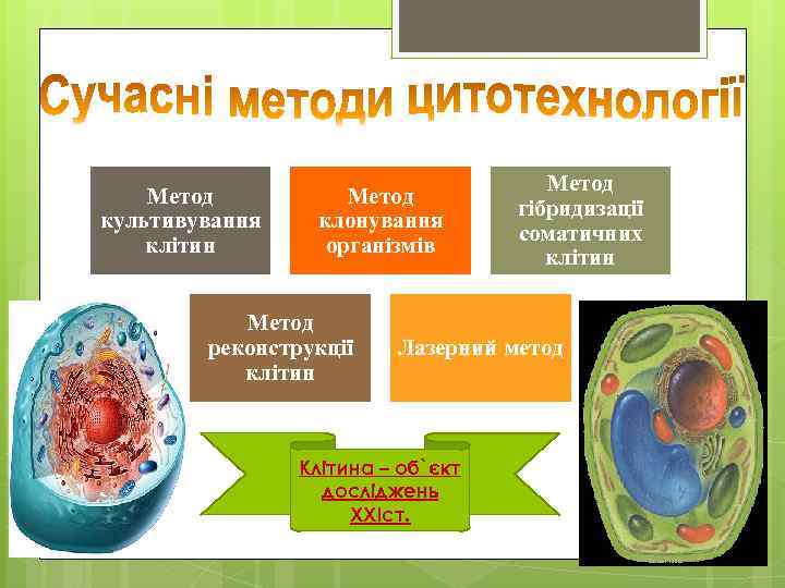 Метод культивування клітин Метод клонування організмів Метод реконструкції клітин Метод гібридизації соматичних клітин Лазерний