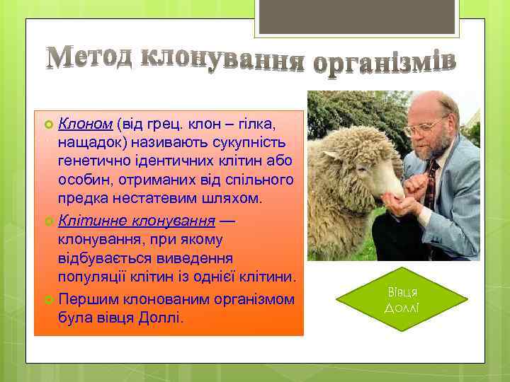 Клоном (від грец. клон – гілка, нащадок) називають сукупність генетично ідентичних клітин або особин,