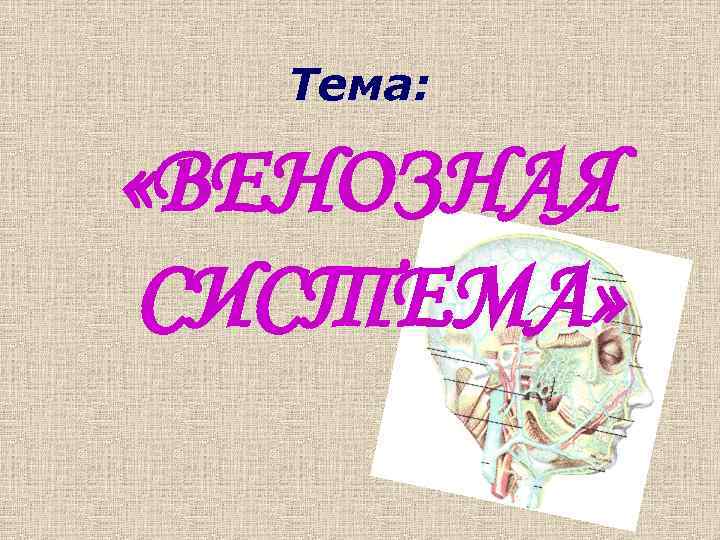 Тема: «ВЕНОЗНАЯ СИСТЕМА» 