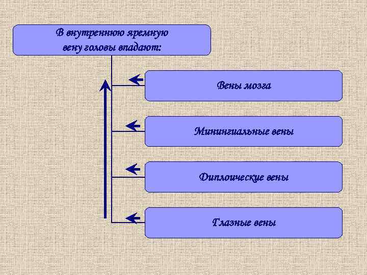В внутреннюю яремную вену головы впадают: Вены мозга Минингиальные вены Диплоические вены Глазные вены