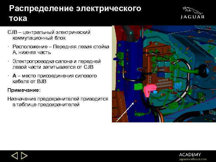 Распределение электрического тока CJB – центральный электрический коммутационный блок • Расположение – Передняя левая
