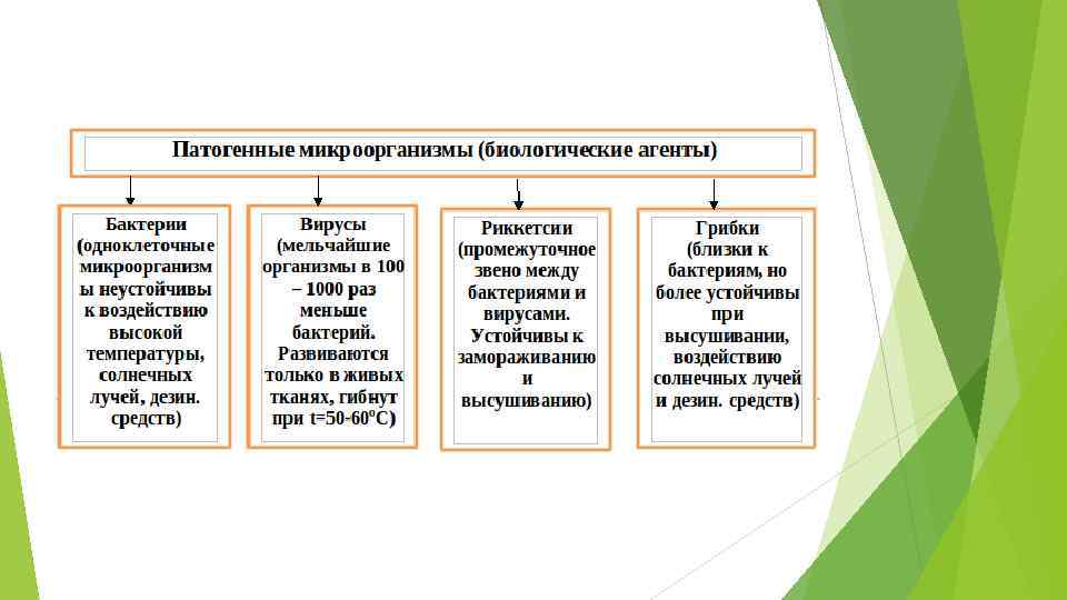 Поражающие факторы опасных метеорологических явлений и их последствия обж 7 класс презентация