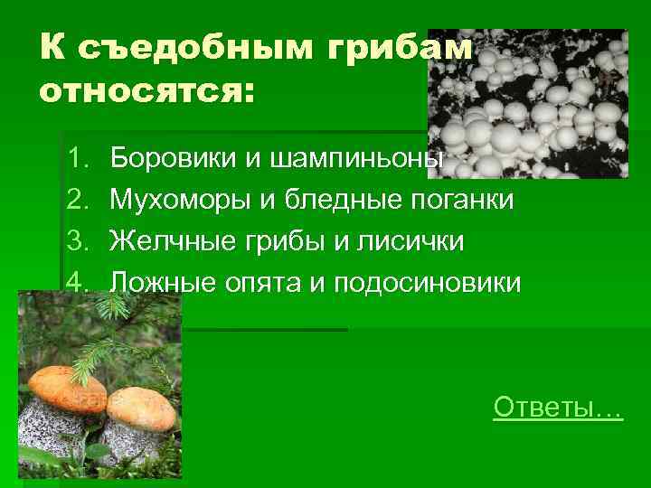 Грибы относятся к. Грибы по категориям съедобности. Что относится к грибам. Категории съедобных грибов. К съедобным грибам относят.