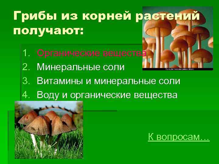 Получается корень