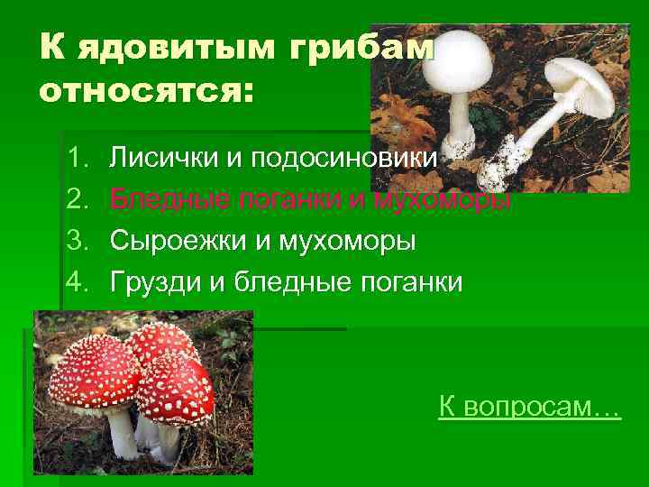 Активный образ жизни относится к грибам. Бледная поганка относится к группе грибов. К ядовитым грибам относятся. К ядовитым грибам относят:. К несъедобным грибам относятся.