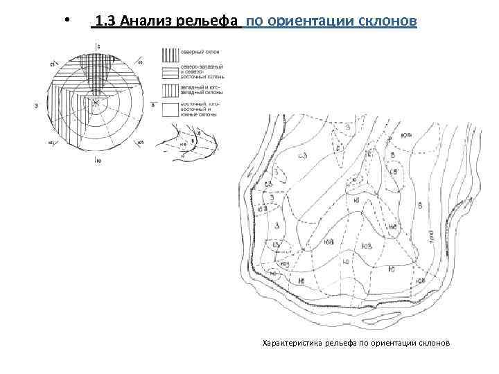  • 1. 3 Анализ рельефа по ориентации склонов Характеристика рельефа по ориентации склонов