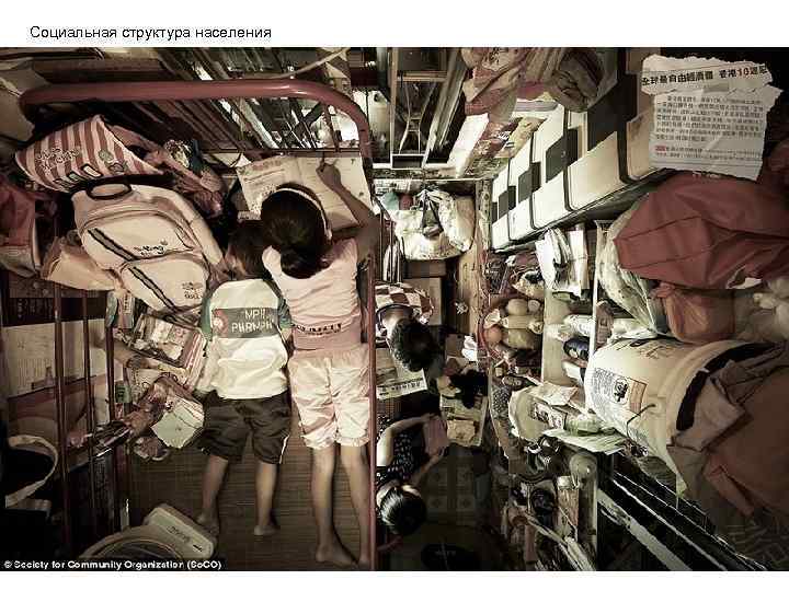 Социальная структура населения 