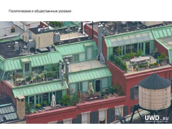 Политические и общественные условия 