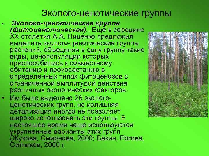 Эколого ценотические группы Эколого-ценотическая группа (фитоценотическая). . Еще в середине XX столетия А. А.