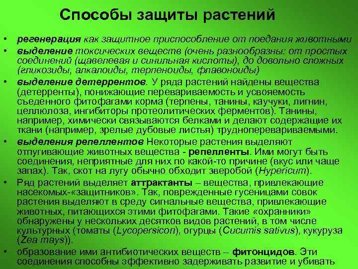 Как деревья защищаются от врагов презентация