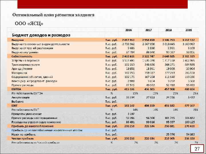 Оптимальный план развития холдинга ООО «ЯСЦ» 27 