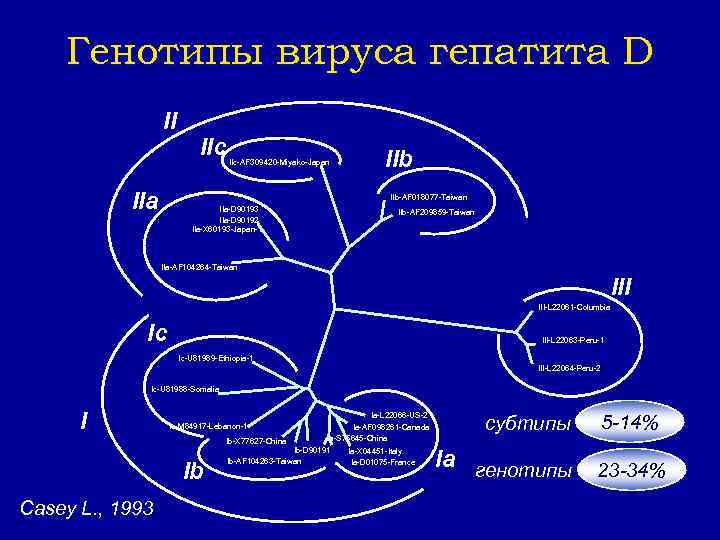 Генотипы вируса гепатита D II IIa IIc-AF 309420 -Miyako-Japan IIb-AF 018077 -Taiwan IIa-D 90193