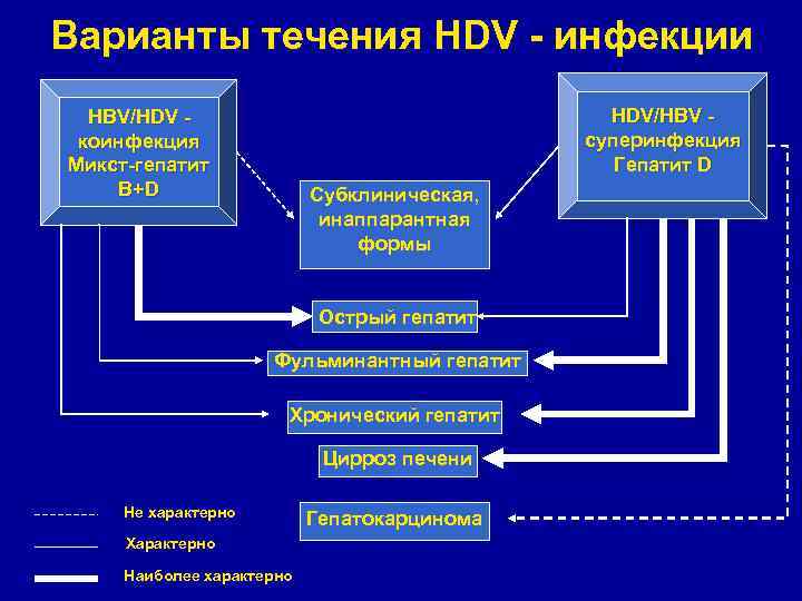 Варианты течения HDV - инфекции HDV/HBV суперинфекция Гепатит D HBV/HDV коинфекция Микст-гепатит B+D Субклиническая,