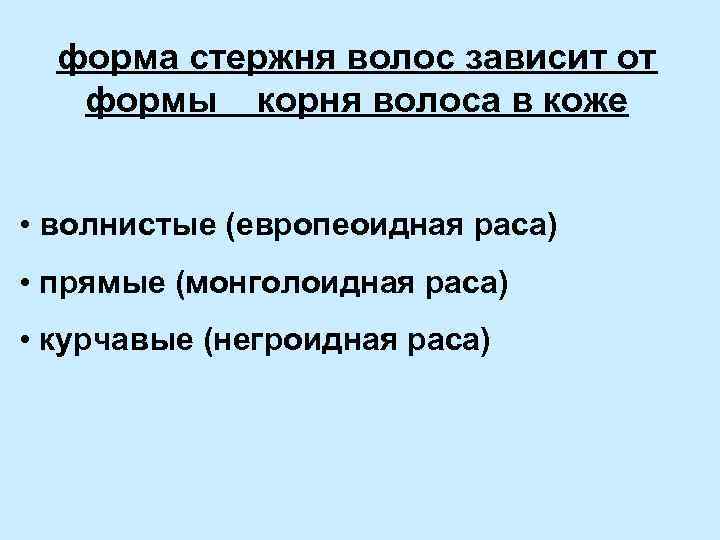 форма стержня волос зависит от формы корня волоса в коже • волнистые (европеоидная раса)
