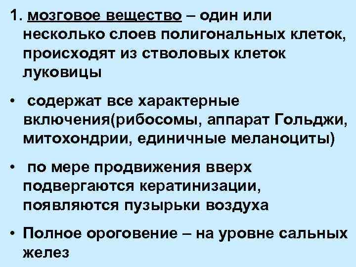 1. мозговое вещество – один или несколько слоев полигональных клеток, происходят из стволовых клеток