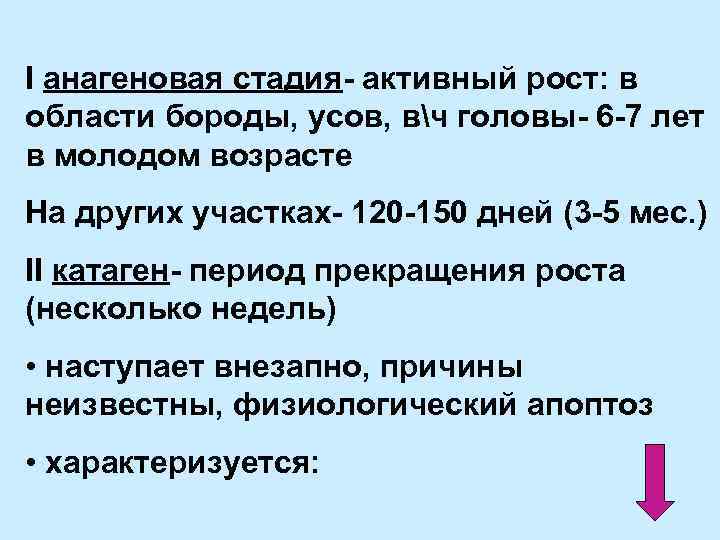 І анагеновая стадия- активный рост: в области бороды, усов, вч головы- 6 -7 лет